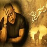 بورصة الألبومات في دبي والسعودية لهذا الأسبوع